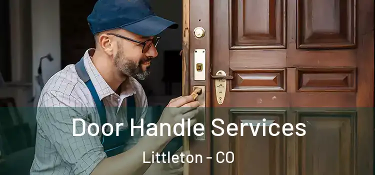 Door Handle Services Littleton - CO