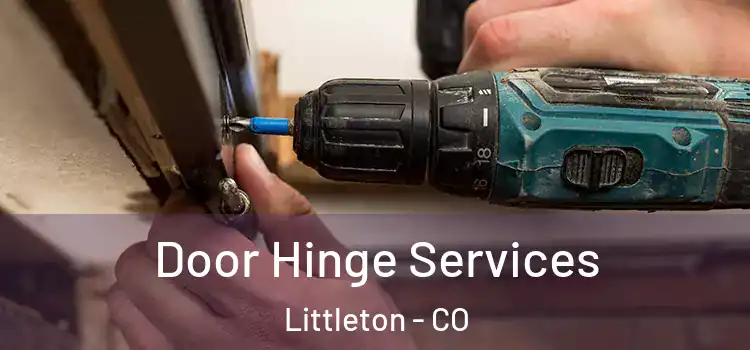 Door Hinge Services Littleton - CO