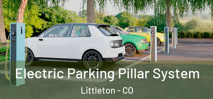 Electric Parking Pillar System Littleton - CO