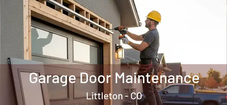 Garage Door Maintenance Littleton - CO