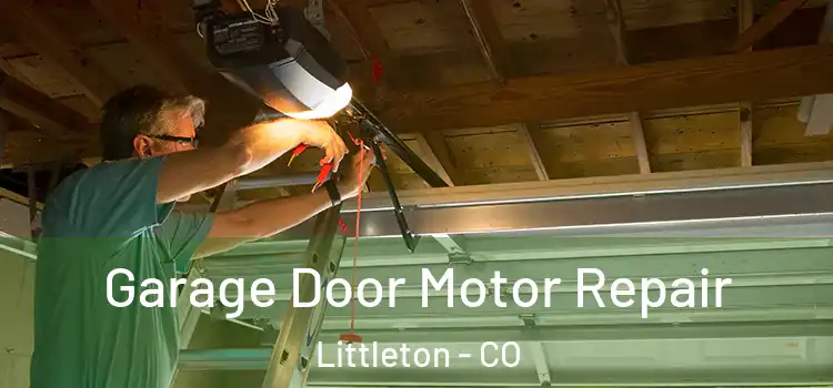  Garage Door Motor Repair Littleton - CO