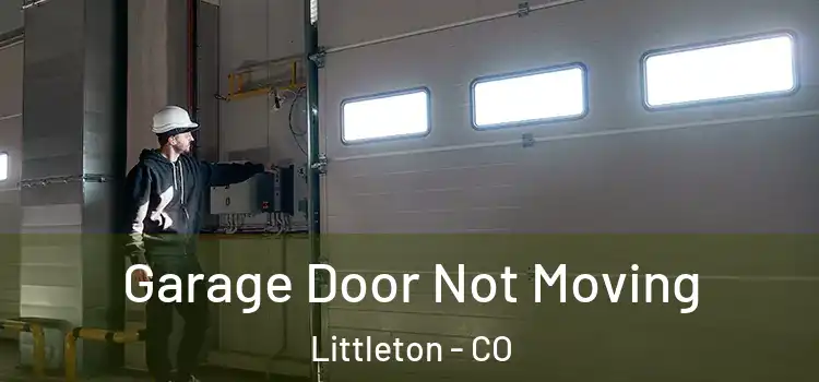  Garage Door Not Moving Littleton - CO