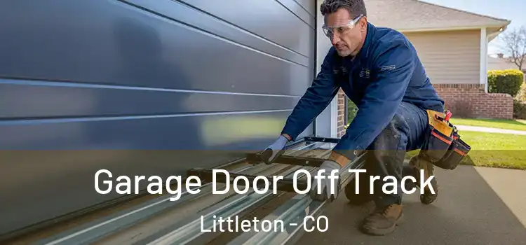  Garage Door Off Track Littleton - CO