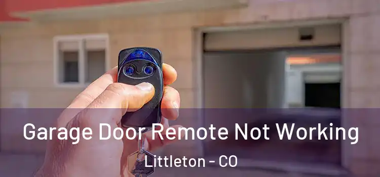  Garage Door Remote Not Working Littleton - CO