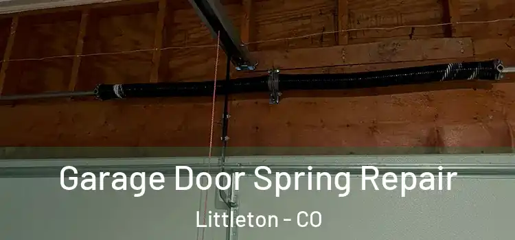  Garage Door Spring Repair Littleton - CO