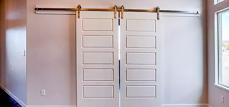 Glass Barn Door with Installation Hardware Kit Littleton