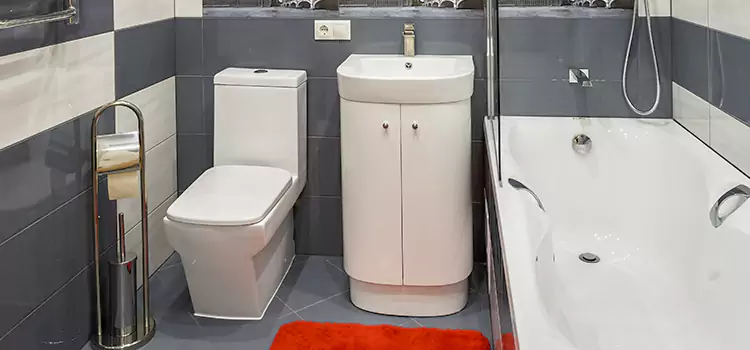 Hansgrohe Shaving Mirror Littleton