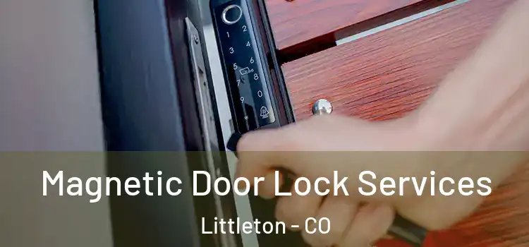 Magnetic Door Lock Services Littleton - CO