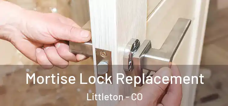 Mortise Lock Replacement Littleton - CO