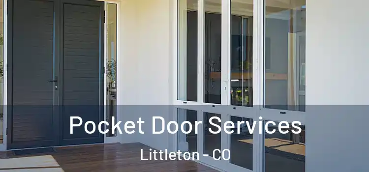 Pocket Door Services Littleton - CO