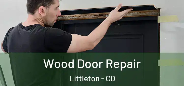  Wood Door Repair Littleton - CO